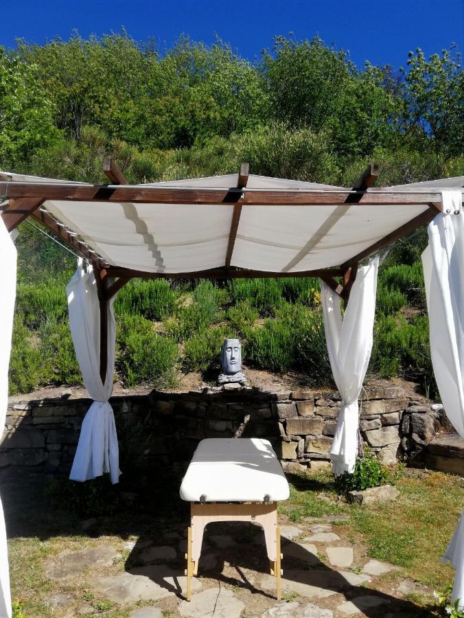 Le Ginestre Guesthouse Assisi Exterior foto
