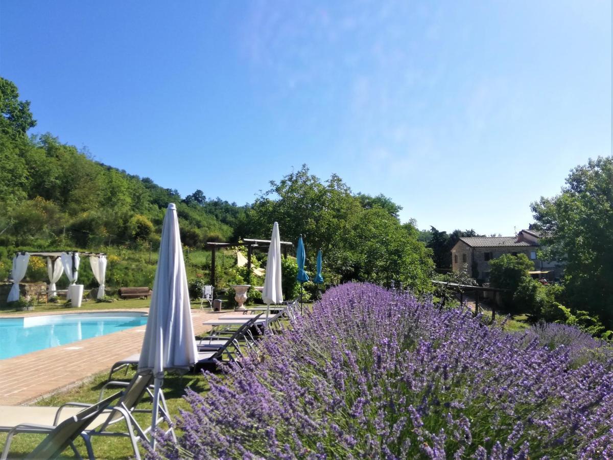 Le Ginestre Guesthouse Assisi Exterior foto
