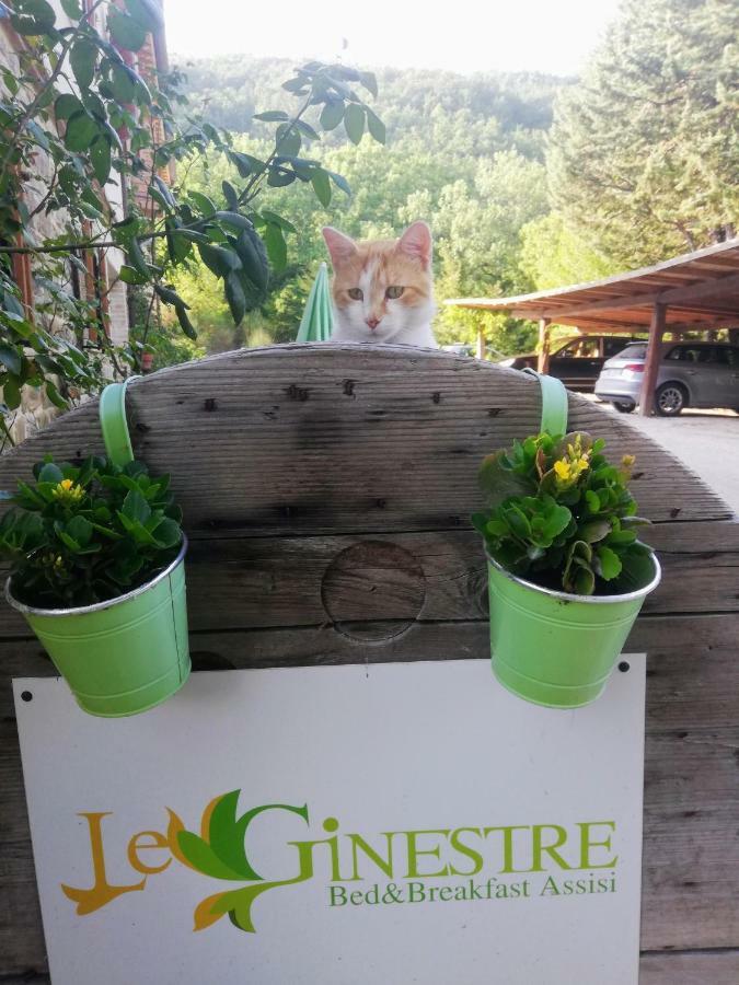 Le Ginestre Guesthouse Assisi Exterior foto